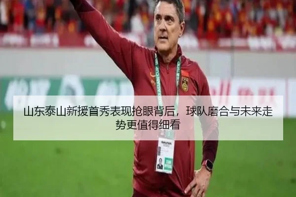 山东泰山新援首秀表现抢眼背后，球队磨合与未来走势更值得细看